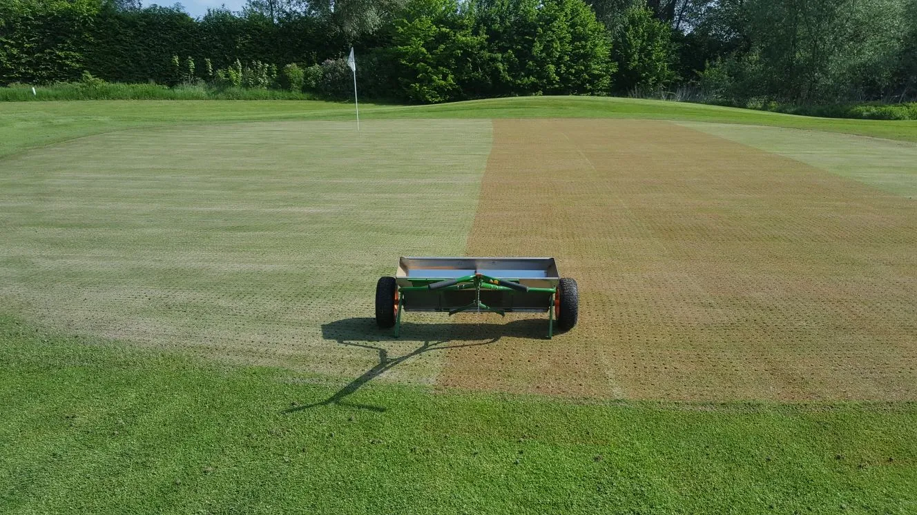 Golfrasen Pflege und Behandlung